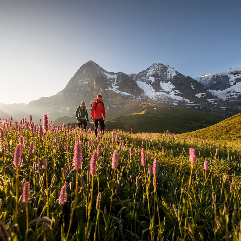 HIKING Package